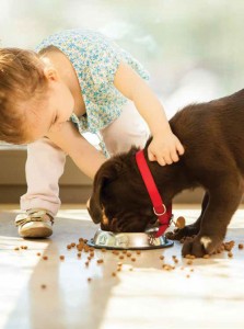 Puppy Feeding Schedule by Age, Chart + 11 Feeding Tips