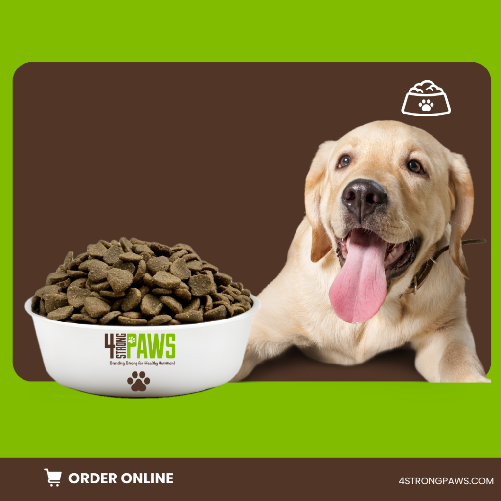 Healthy food for dog