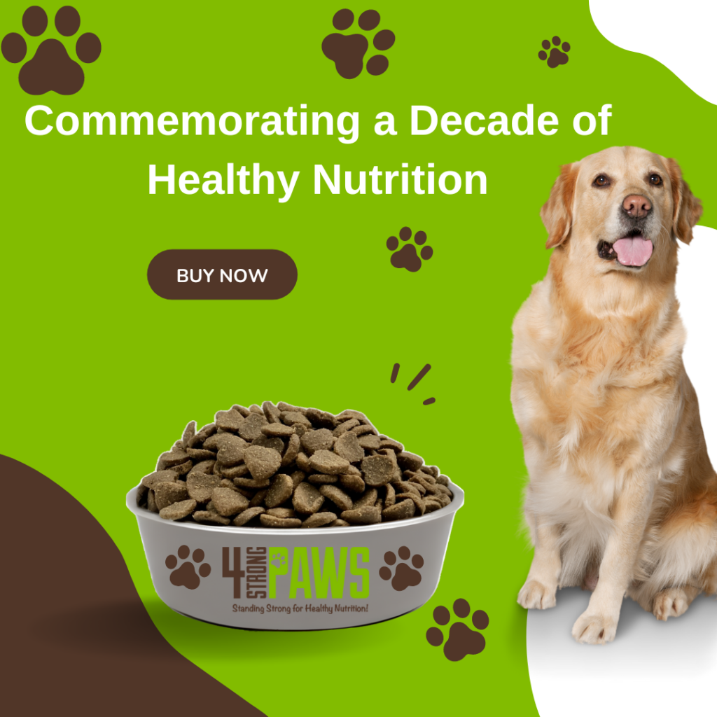 Best dog food product