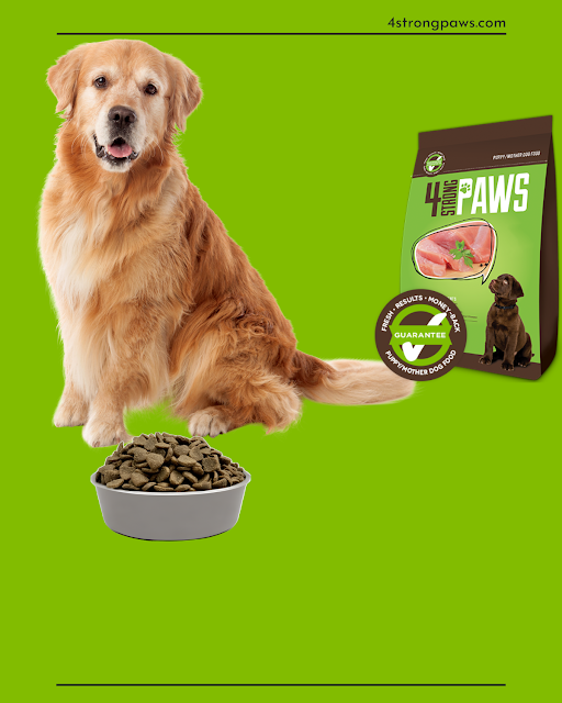 Best dog food for your dog's health hotsell